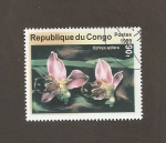Stamps Republic of the Congo -  Flor Ancistrochillus