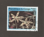 Stamps : Africa : Republic_of_the_Congo :  Flor Amsellia