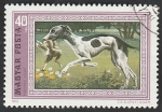 Stamps Hungary -  2221 - Perro lebrel