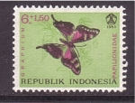 Sellos de Asia - Indonesia -  Mariposa
