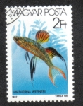 Stamps Hungary -  Peces