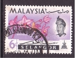 Sellos de Asia - Malasia -  Estado de Selangor