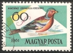 Stamps Hungary -  1480 - Ave