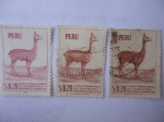 Stamps Peru -  Vicuña-Cuatro emisiones: 1953,1962(Thomas de la Rue), 1960 (Joh Enschedé) 1966 (INA-Austria)