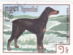 Stamps Cambodia -  PERROS DE RAZA