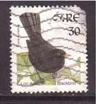 Stamps : Europe : Ireland :  Mirlo