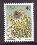 Stamps South Africa -  serie- Plantas
