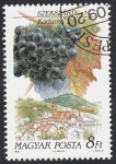 Stamps Hungary -  3288 - Región vitícola