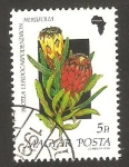 Stamps Hungary -  3267 - Flor protea lepidocarpodendron neriifolia