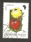 Stamps Hungary -  3266 - Flor protea barbigera