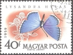 Sellos del Mundo : Europa : Hungr�a : Mariposas-Adonis Blue (Lysandra hylas).