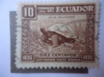 Stamps Ecuador -  Islas Galápagos-Centenario de la visita de Darwin a la Isla 1835-1935-Galápagos tortoise(Chelonoidis
