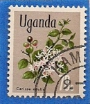 Sellos de Africa - Uganda -  plantas