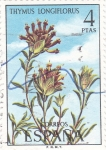 Stamps Spain -  Thymus Longiflorus (37)