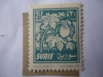 Stamps : Asia : Syria :  Algodón (Género:gossypium - Familia:malváceas)