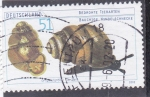 Stamps Germany -  Caracol 