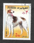 Stamps : Asia : United_Arab_Emirates :  YtPA48C - Galgo Borzoi