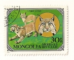 Stamps Mongolia -  Gatos salvajes. LInce.