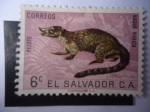 Stamps : America : El_Salvador :  Coati de Nariz Blanca (Nasua Narica)