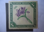 Stamps Costa Rica -  Guaria Morada-Orquídea - Exposición Nacional Agricultura, Industria,Comercio, Dic. 1937.