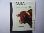 Sellos de America - Cuba -  Santa Gertrudis - Razas Bovinas.