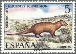 Stamps Spain -  2105 - Fauna hispánica - Meloncillo