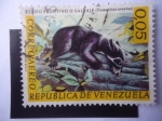 Stamps Venezuela -  El Oso Frontino o Salvaje (Tremarctos ornatus)