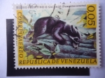 Sellos de America - Venezuela -  El Oso Frontino o Salvaje (Tremarctos ornatus)