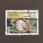 Stamps Cambodia -  Flor Cypripedium