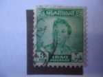 Sellos de Asia - Irak -  King Faisan II (1935-1958)-Último rey de Irak-Serie:King Faisal II