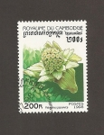 Stamps Cambodia -  Flor Petasdates