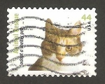 Stamps United States -  4274 - Adopción de perros y gatos abandonados, cabeza de gato tigre blanco