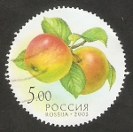 Sellos de Europa - Rusia -  6751 - Manzanas