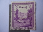 Stamps : Asia : Pakistan :  Paisaje de Montaña cerca a Kagan, Distrito de Hasara - 70 Aniversario de Pakistán.