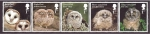 Stamps Europe - United Kingdom -  serie- Crias de búhos