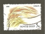 Stamps Russia -  INTERCAMBIO