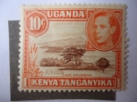 Stamps : Africa : Uganda :  Lake Naivasha -África del Este Británica-Serie:King George VI - Uganda, Kenia, Tanganyika