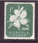 Stamps Australia -  Ibiscus insularis