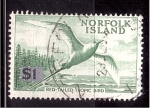 Stamps Australia -  Red- tailed