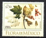 Sellos de America - M�xico -  FLOR  DE  MANITA