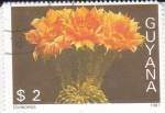Stamps Guyana -  CACTUS ECHINOPSIS