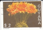 Stamps : America : Guyana :  CACTUS ECHINOPSIS