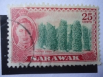 Stamps : Asia : Malaysia :  Sarawak-Viñas de Pimientas-Especies- George VI- Malacia Estados Federales - Serie:Sarawak.