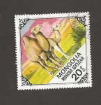 Stamps Mongolia -  dromedarios