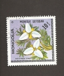 Stamps Mongolia -  Flor Potaninia mongolica