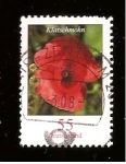 Stamps Germany -  INTERCAMBIO