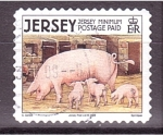 Stamps Europe - Jersey -  serie- Animales de granja