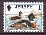 Stamps Europe - Jersey -  serie- Aves marinas