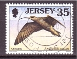 Sellos del Mundo : Europe : Jersey : serie- Aves marinas