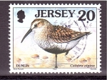 Stamps Jersey -  serie- Aves marinas